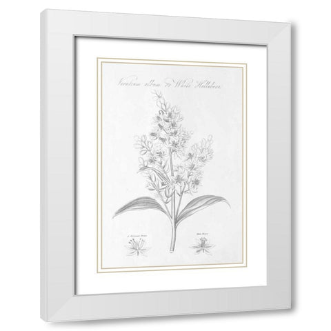 Botany Book XI White Modern Wood Framed Art Print with Double Matting by Wild Apple Portfolio