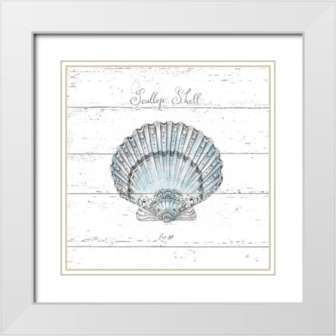 Aqua Underwater Life VIII Shiplap White Modern Wood Framed Art Print with Double Matting by Brissonnet, Daphne