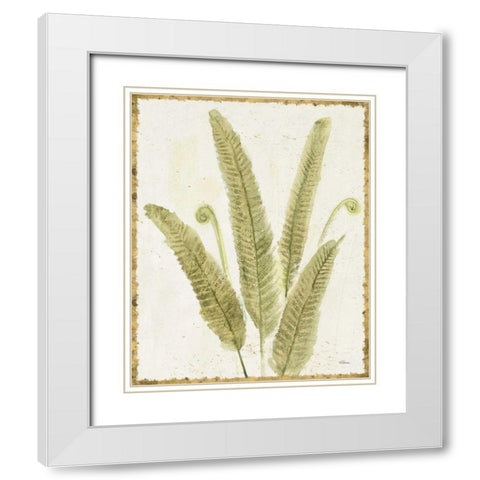 Forest Ferns II v2 Antique White Modern Wood Framed Art Print with Double Matting by Hristova, Albena