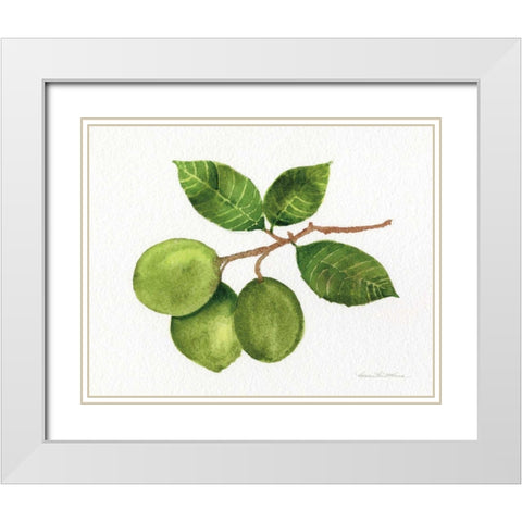 Citrus Garden II White Modern Wood Framed Art Print with Double Matting by McKenna, Kathleen Parr