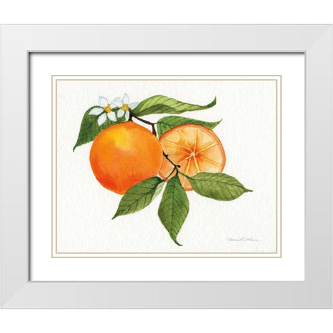 Citrus Garden V White Modern Wood Framed Art Print with Double Matting by McKenna, Kathleen Parr