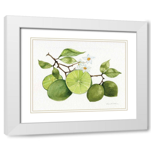 Citrus Garden VII White Modern Wood Framed Art Print with Double Matting by McKenna, Kathleen Parr