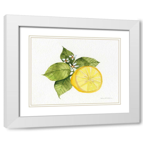 Citrus Garden IX White Modern Wood Framed Art Print with Double Matting by McKenna, Kathleen Parr