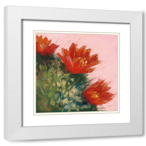 Blooming Succulent IV White Modern Wood Framed Art Print with Double Matting by Rowan, Carol