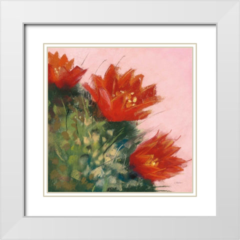 Blooming Succulent IV White Modern Wood Framed Art Print with Double Matting by Rowan, Carol
