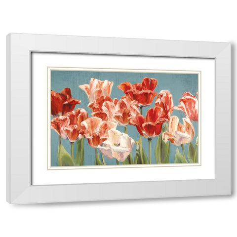 Crimson Tulips on Blue White Modern Wood Framed Art Print with Double Matting by Hageman, Marilyn
