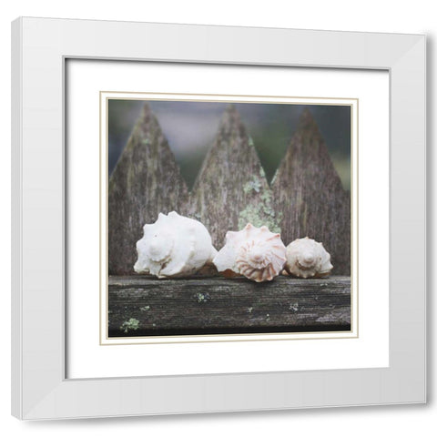 Beach Treasures White Modern Wood Framed Art Print with Double Matting by Marshall, Laura
