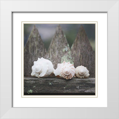 Beach Treasures White Modern Wood Framed Art Print with Double Matting by Marshall, Laura