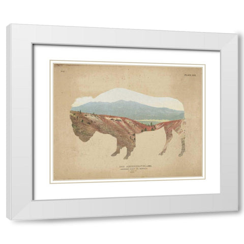 American Southwest Buffalo Distressed White Modern Wood Framed Art Print with Double Matting by Wild Apple Portfolio