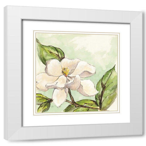 Magnolia I White Modern Wood Framed Art Print with Double Matting by Paschke, Chris