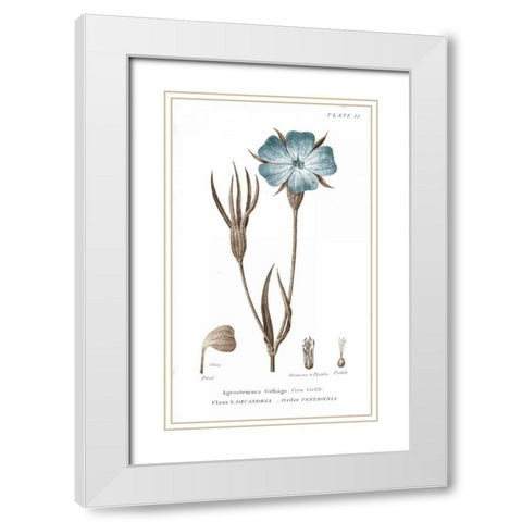 Conversations on Botany III on White with Blue White Modern Wood Framed Art Print with Double Matting by Wild Apple Portfolio
