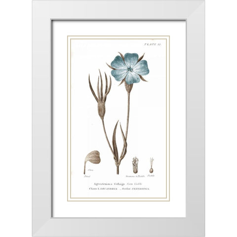 Conversations on Botany III on White with Blue White Modern Wood Framed Art Print with Double Matting by Wild Apple Portfolio