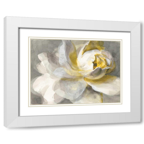 Abstract Rose White Modern Wood Framed Art Print with Double Matting by Nai, Danhui