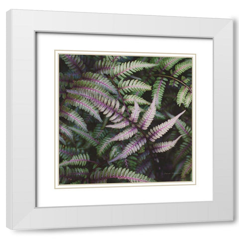 Funky Ferns VI White Modern Wood Framed Art Print with Double Matting by Marshall, Laura