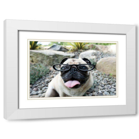 Four Eyes White Modern Wood Framed Art Print with Double Matting by Dratfield, Jim