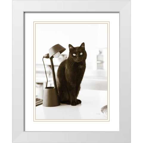 Lights Cat Action White Modern Wood Framed Art Print with Double Matting by Dratfield, Jim