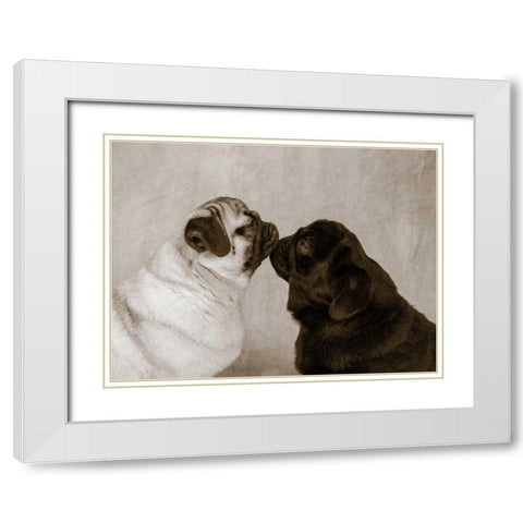 Pooch Smooch White Modern Wood Framed Art Print with Double Matting by Dratfield, Jim