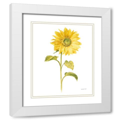 Floursack Florals on White II White Modern Wood Framed Art Print with Double Matting by Nai, Danhui