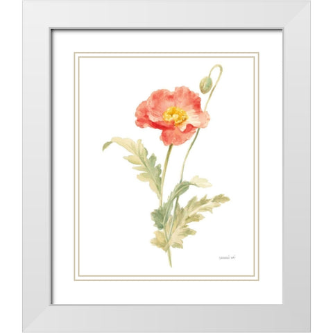 Floursack Florals on White IV White Modern Wood Framed Art Print with Double Matting by Nai, Danhui