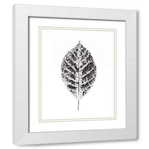 Harvest Sentiments V BW no Words White Modern Wood Framed Art Print with Double Matting by Hershey, Moira