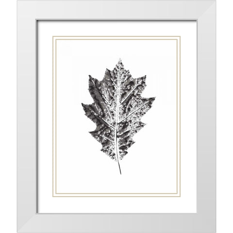 Harvest Sentiments VII BW no Words White Modern Wood Framed Art Print with Double Matting by Hershey, Moira
