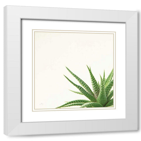Succulent Simplicity II Neutral White Modern Wood Framed Art Print with Double Matting by Bradley, Felicity