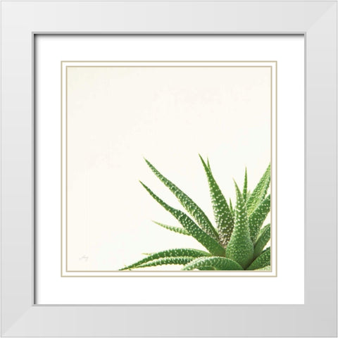 Succulent Simplicity II Neutral White Modern Wood Framed Art Print with Double Matting by Bradley, Felicity