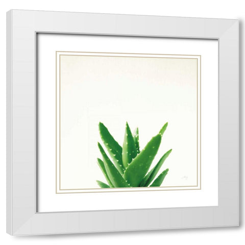 Succulent Simplicity V Neutral White Modern Wood Framed Art Print with Double Matting by Bradley, Felicity