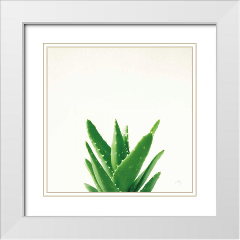Succulent Simplicity V Neutral White Modern Wood Framed Art Print with Double Matting by Bradley, Felicity