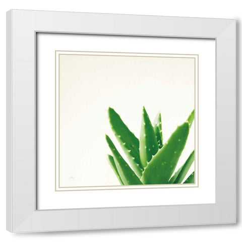 Succulent Simplicity VI Neutral White Modern Wood Framed Art Print with Double Matting by Bradley, Felicity