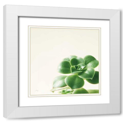 Succulent Simplicity VIII Neutral White Modern Wood Framed Art Print with Double Matting by Bradley, Felicity