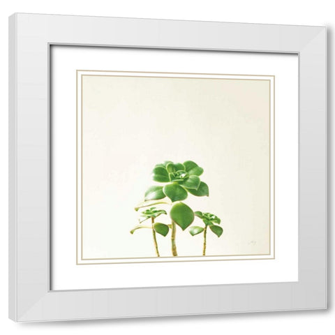 Succulent Simplicity IX Neutral White Modern Wood Framed Art Print with Double Matting by Bradley, Felicity