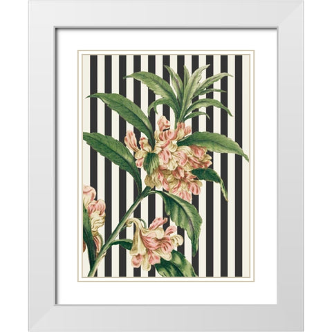 Herbal Botanical XXVI Bold White Modern Wood Framed Art Print with Double Matting by Wild Apple Portfolio