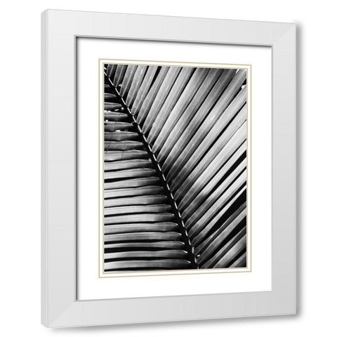 Palm Frond I White Modern Wood Framed Art Print with Double Matting by Van Swearingen, Debra