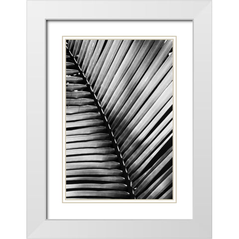 Palm Frond I White Modern Wood Framed Art Print with Double Matting by Van Swearingen, Debra