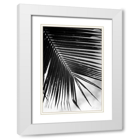 Palm Frond II White Modern Wood Framed Art Print with Double Matting by Van Swearingen, Debra