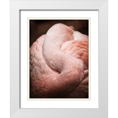 Chilean Flamingo I White Modern Wood Framed Art Print with Double Matting by Van Swearingen, Debra