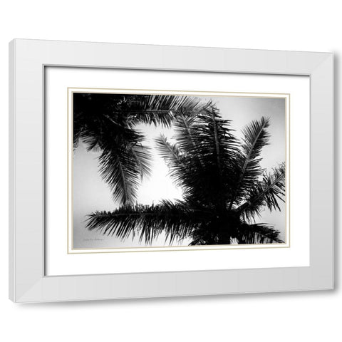 Palm Tree Looking Up I White Modern Wood Framed Art Print with Double Matting by Van Swearingen, Debra
