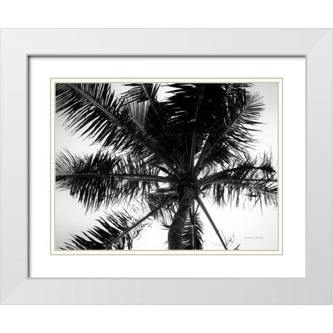 Palm Tree Looking Up III White Modern Wood Framed Art Print with Double Matting by Van Swearingen, Debra