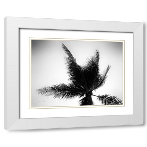 Palm Tree Looking Up IV White Modern Wood Framed Art Print with Double Matting by Van Swearingen, Debra
