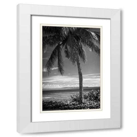 Ocean View White Modern Wood Framed Art Print with Double Matting by Van Swearingen, Debra