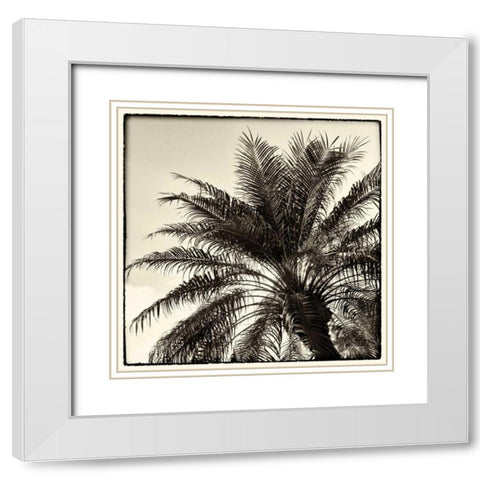 Palm Tree Sepia I White Modern Wood Framed Art Print with Double Matting by Van Swearingen, Debra