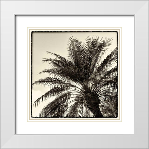 Palm Tree Sepia I White Modern Wood Framed Art Print with Double Matting by Van Swearingen, Debra