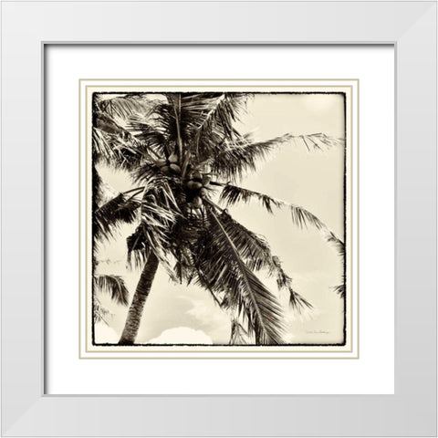 Palm Tree Sepia II White Modern Wood Framed Art Print with Double Matting by Van Swearingen, Debra