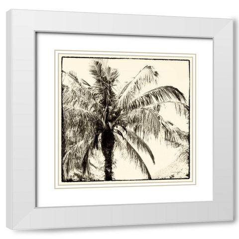 Palm Tree Sepia III White Modern Wood Framed Art Print with Double Matting by Van Swearingen, Debra