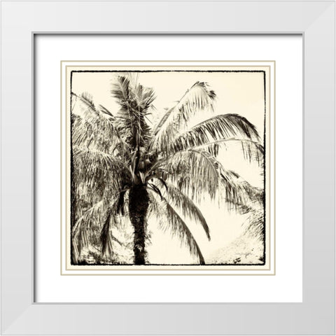 Palm Tree Sepia III White Modern Wood Framed Art Print with Double Matting by Van Swearingen, Debra