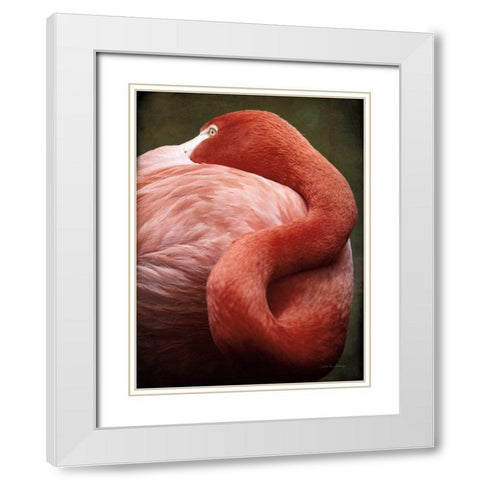 Caribbean Flamingo I White Modern Wood Framed Art Print with Double Matting by Van Swearingen, Debra