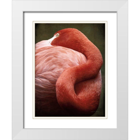 Caribbean Flamingo I White Modern Wood Framed Art Print with Double Matting by Van Swearingen, Debra