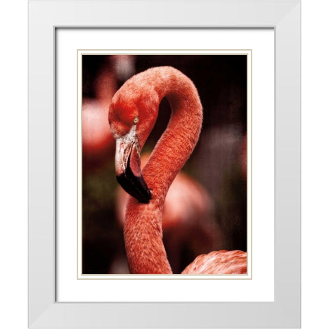 Caribbean Flamingo II White Modern Wood Framed Art Print with Double Matting by Van Swearingen, Debra