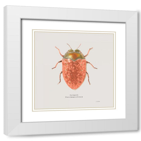 Adorning Coleoptera V Sq Camelia White Modern Wood Framed Art Print with Double Matting by Wiens, James